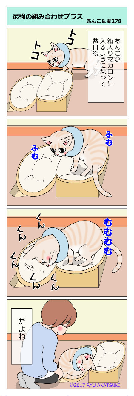 あんこ&麦STORY278