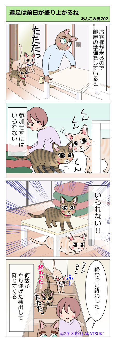 あんこ&麦STORY702
