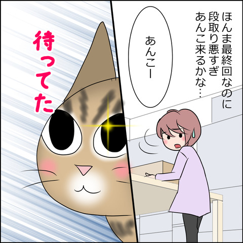 あんこ＆麦STORY2029c