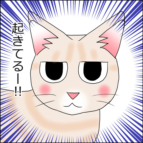 あんこ＆麦STORY1671c