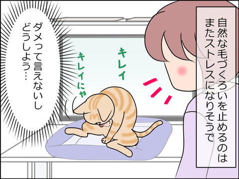 あんこ&麦kenko38c