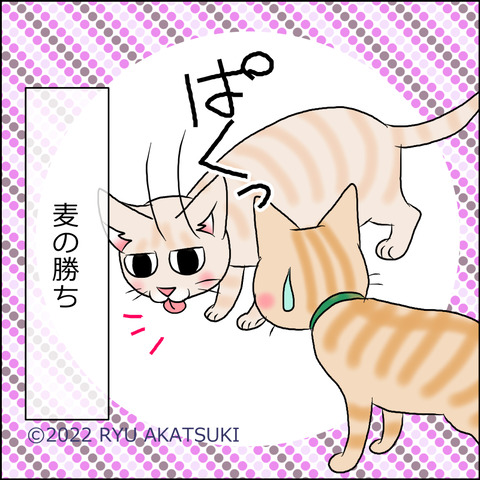 あんこ＆麦STORY1648d