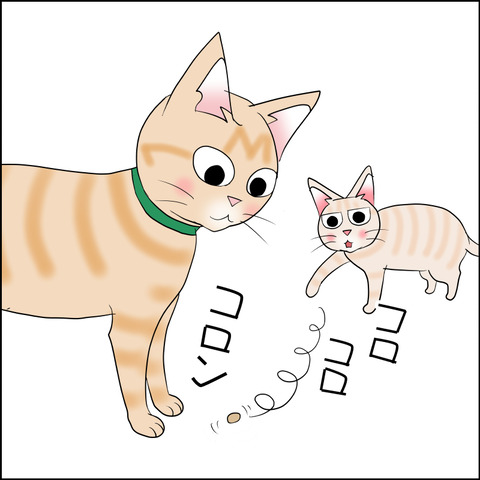 あんこ＆麦STORY2270d