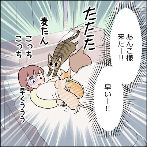 あんこ&麦STORY1885c