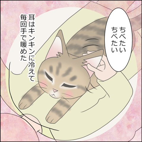 あんこ＆麦STORY1818b