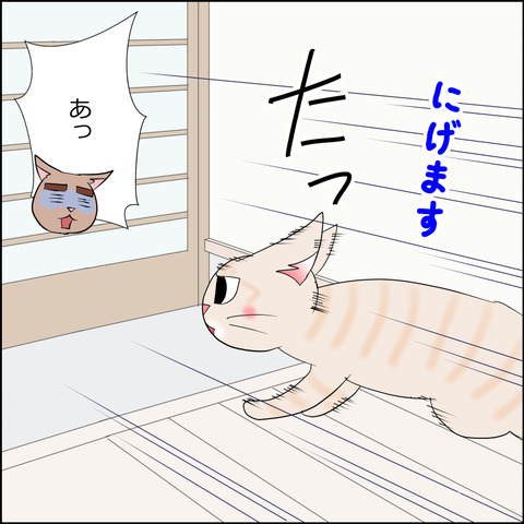 あんこ＆麦STORY2356b