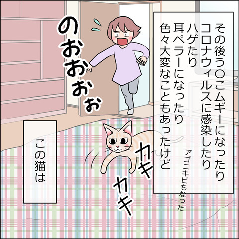 あんこ＆麦STORY1854f