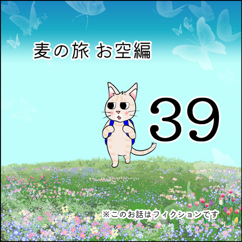 mugitabix039@