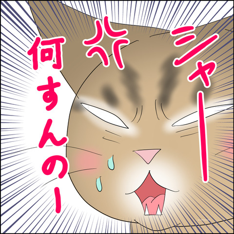 あんこ＆麦STORY2281d