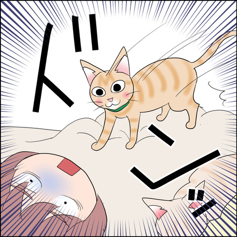 あんこ＆麦STORY2246b