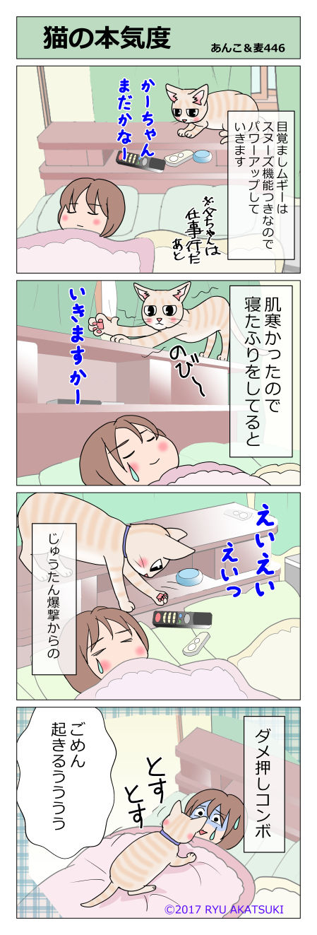 あんこ&麦STORY446