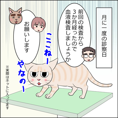 あんこ＆麦kenko98a