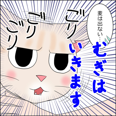 あんこ＆麦STORY2113c