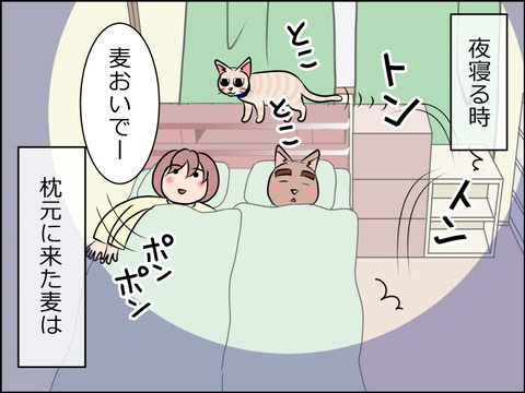あんこ＆麦STORY1582a
