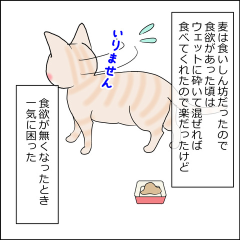 あんこ＆麦kenko157c
