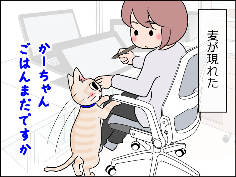 あんこ 麦1628 可愛い猫にはトゲがある あんこと麦と Powered By ライブドアブログ