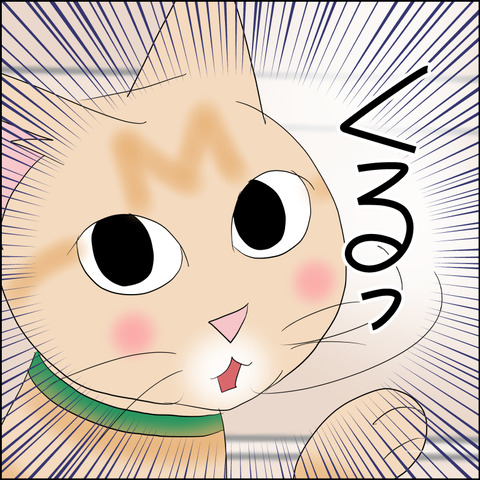 あんこ&麦STORY2333e