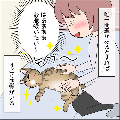 あんこ&麦STORY2365d