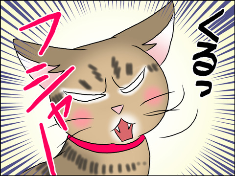 あんこ&麦STORY1570c