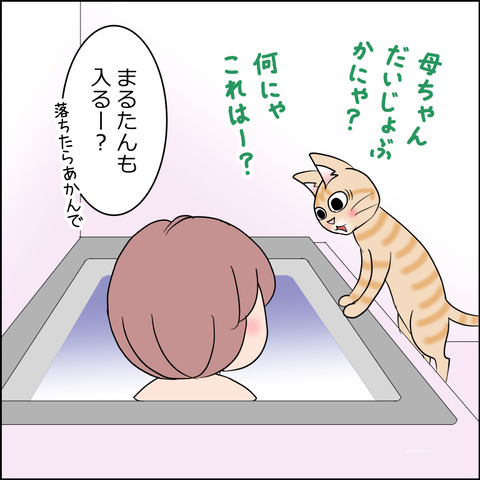 あんこ＆麦STORY2401c