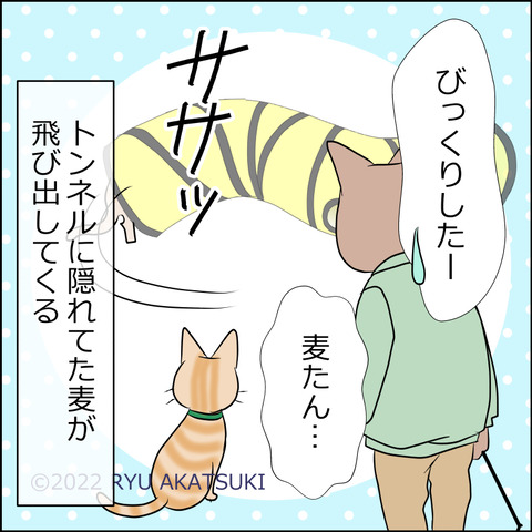 あんこ＆麦STORY1736d