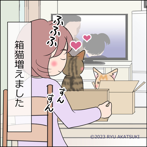 あんこ＆麦STORY1861d