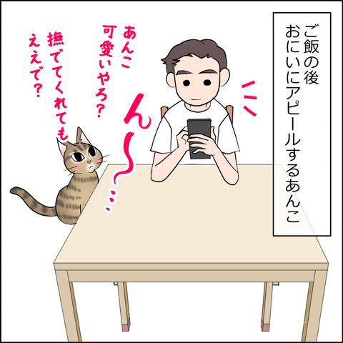 あんこ&麦STORY2481a