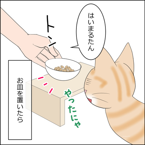 あんこ＆麦STORY2352c