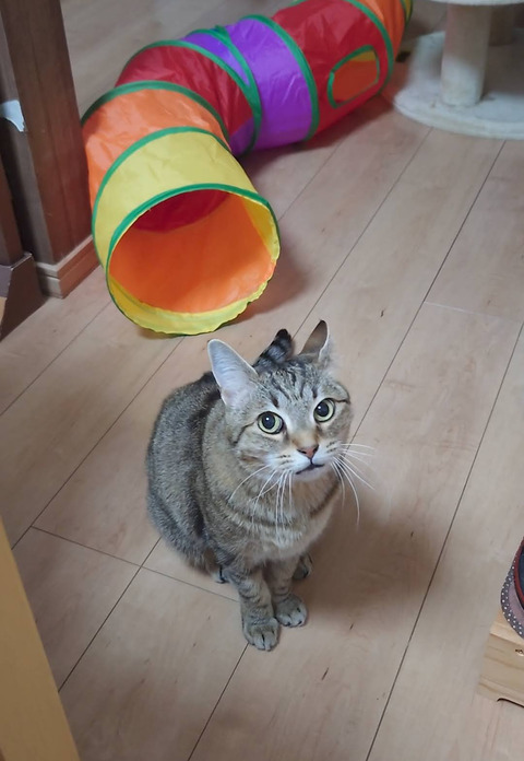 Screenshot_2025-01-09-17-21-23