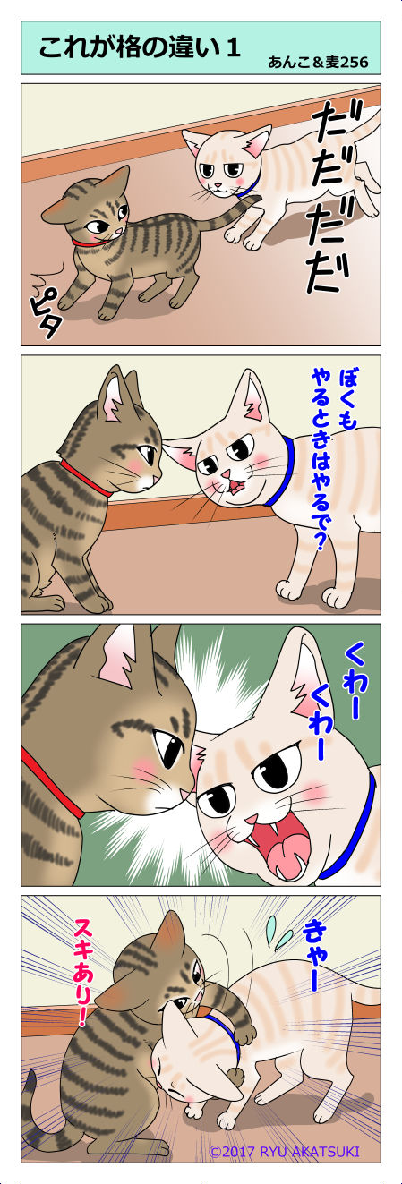 あんこ&麦STORY256