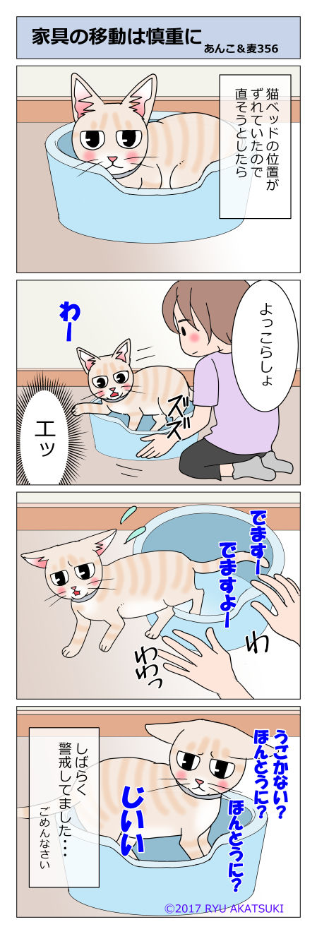 あんこ&麦STORY356