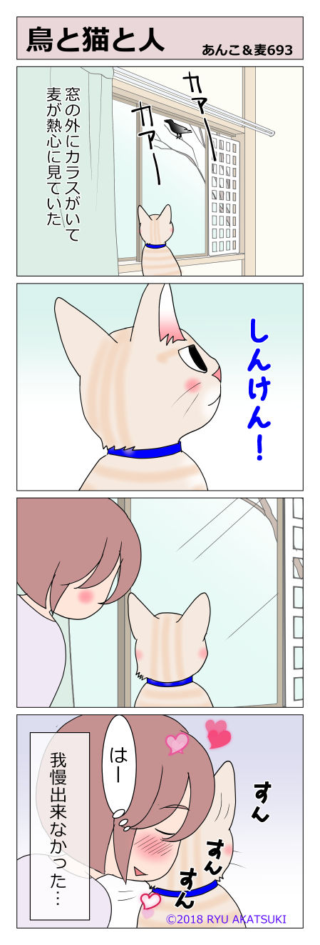 あんこ&麦STORY693