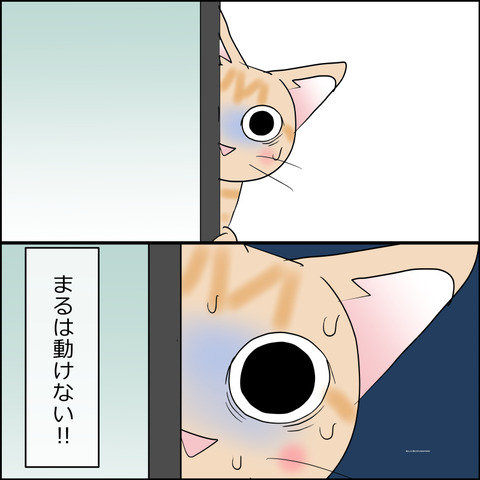 あんこ&麦STORY2422d