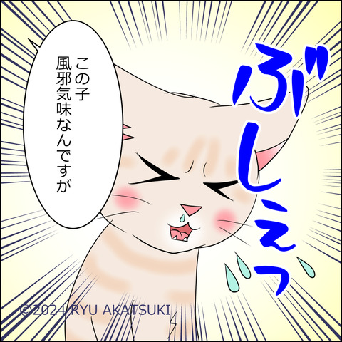 nekokita209d
