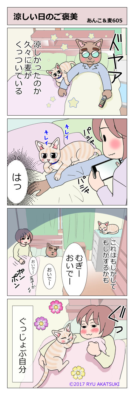 あんこ&麦STORY605