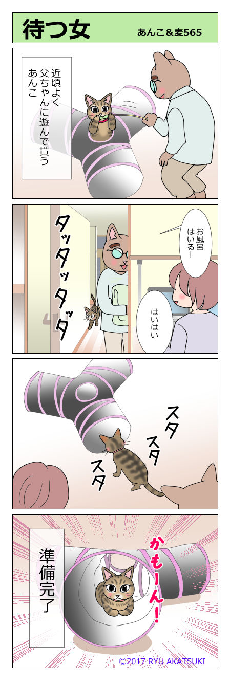 あんこ&麦STORY565