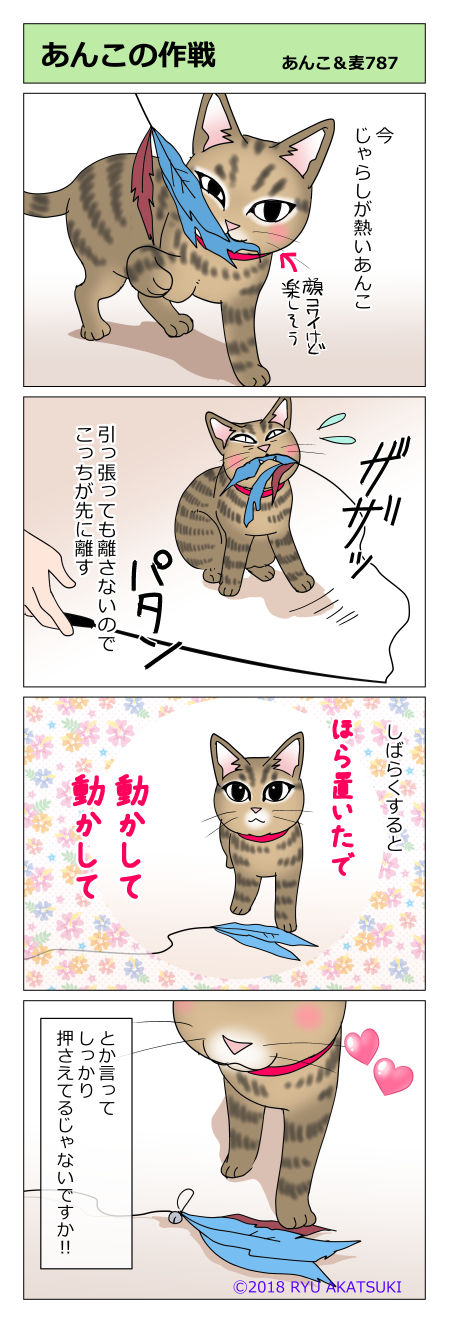 あんこ&麦STORY787