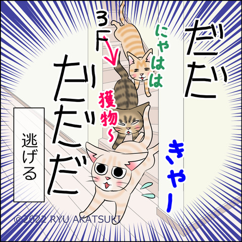 あんこ＆麦STORY1745d