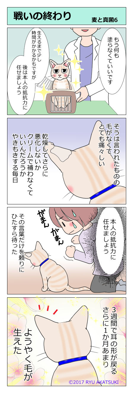 あんこ&麦kenko22