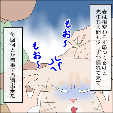 あんこ＆麦kenko126a