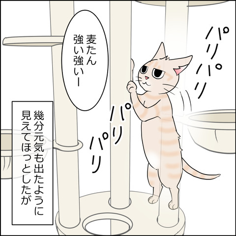 mugitabi018c