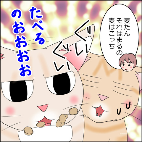 あんこ&麦STORY2352e