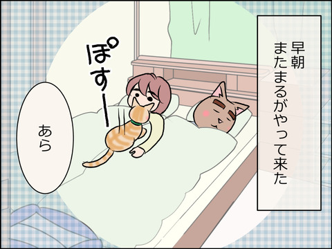 あんこ＆麦STORY1621a