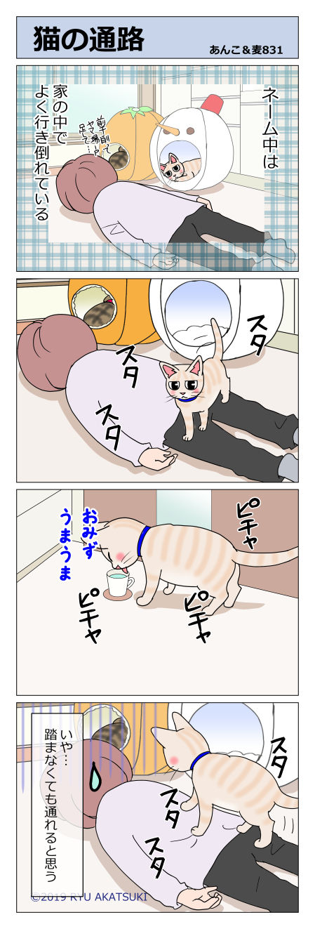 あんこ&麦STORY831