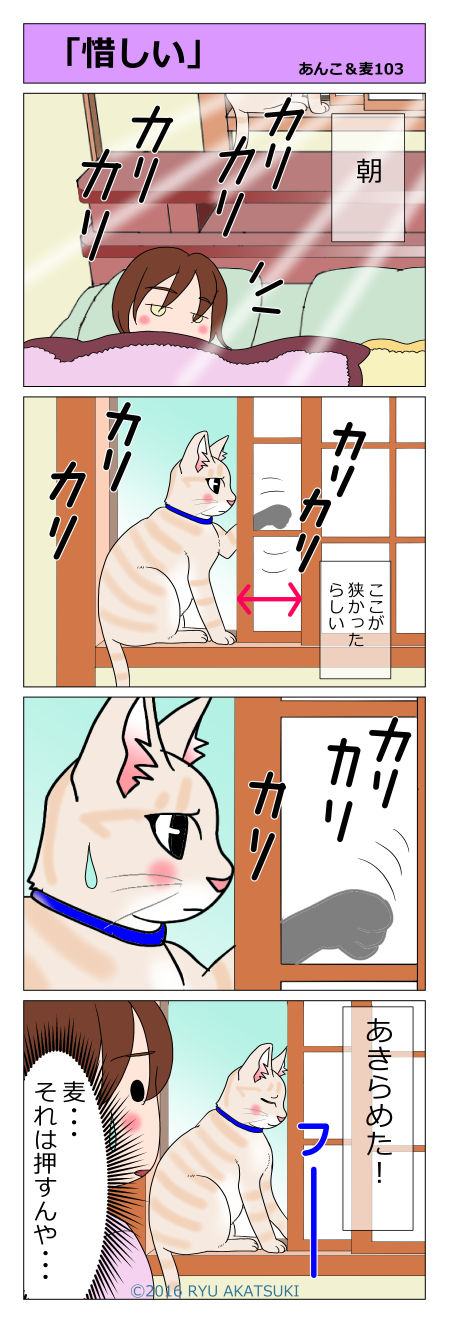 あんこ&麦STORY103