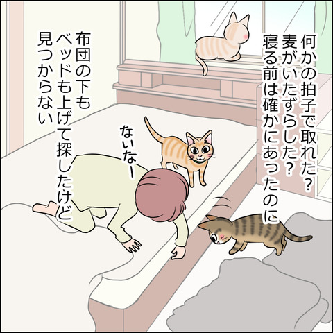 あんこ＆麦STORY1791c