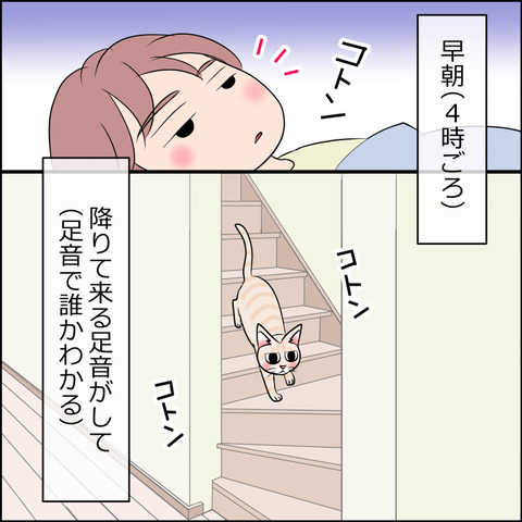 あんこ&麦STORY1967b