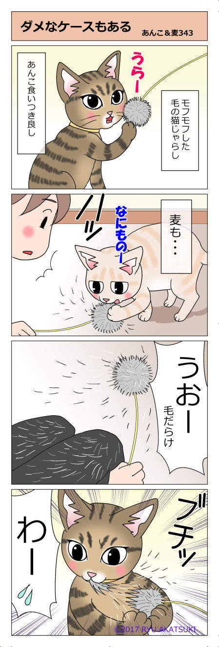 あんこ＆麦STORY343