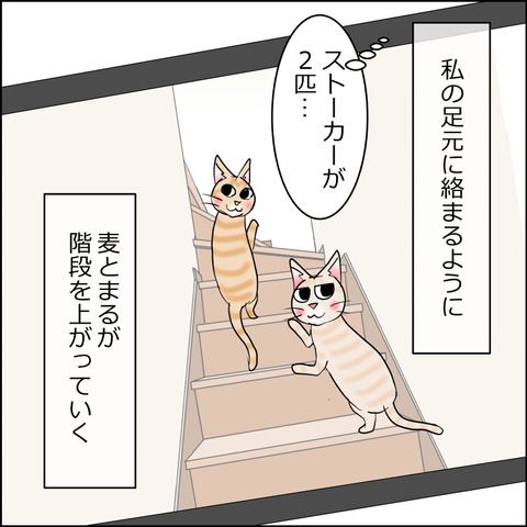あんこ&麦STORY2486c