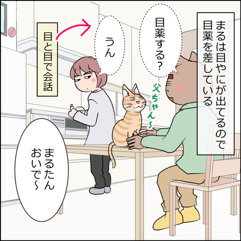 あんこ＆麦STORY2380a
